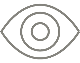 Vision Icon